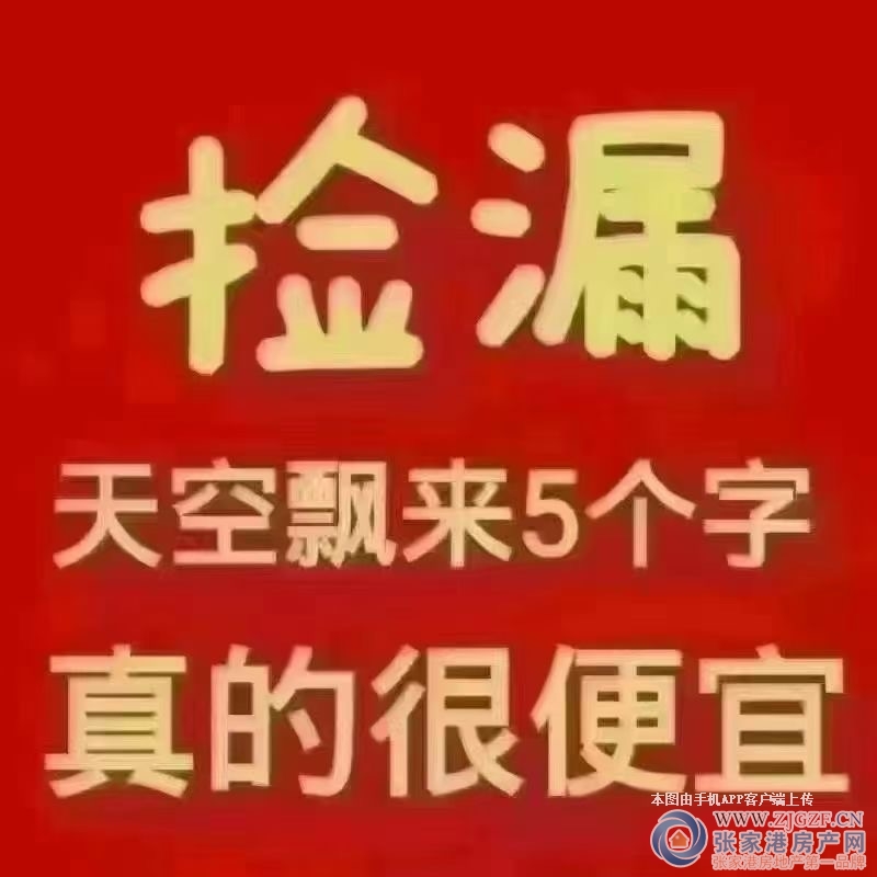 碧桂园天玺二手房图片