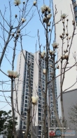 永翠花园二手房出售图
