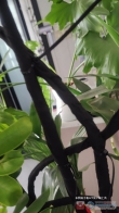 临江福苑租房图片