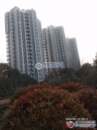 南丰永钢新村二手房图片