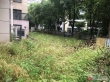 置地甲江南二手房图片