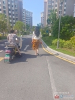 振兴花苑二手房图片