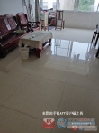 大新新茂花园中介出租图片