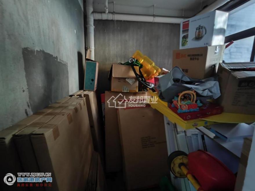 A-lg-20250222-7.jpg?x-oss-process=image/resize,w_880