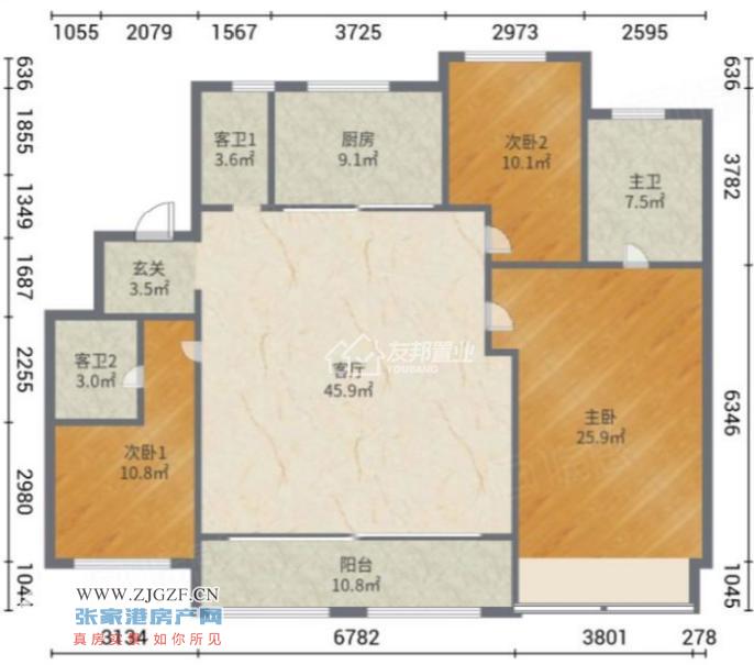 (yng)-͈D-20250308-1.png