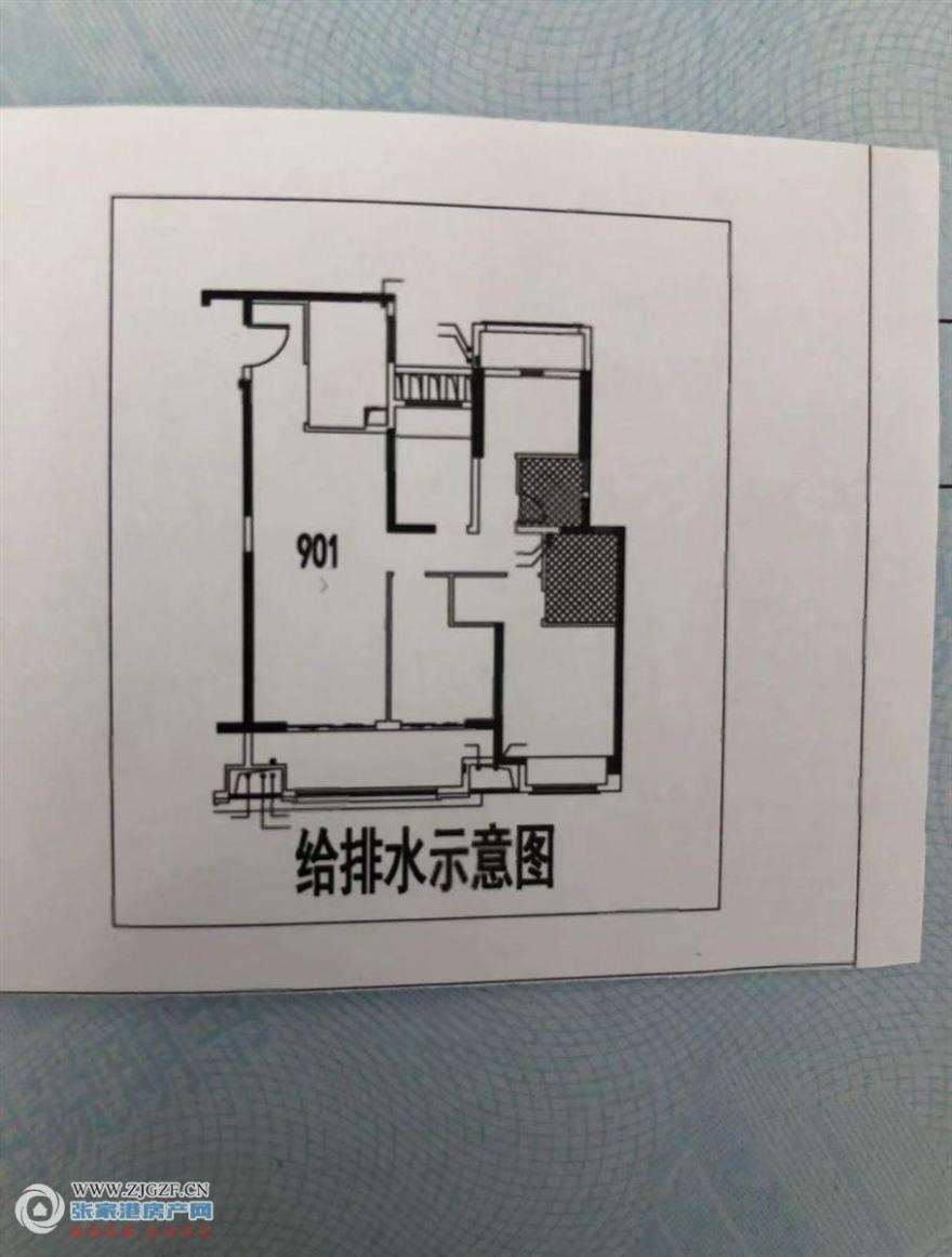 ͼ