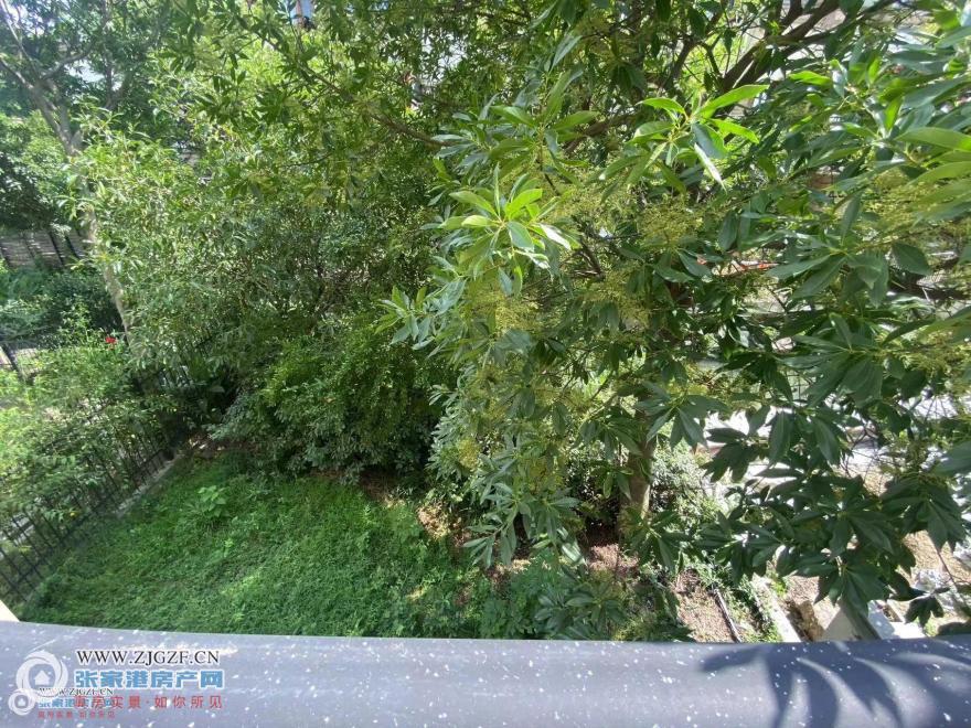 151929mHaWngU5wLN1QWLL.jpg?x-oss-process=image/resize,w_880