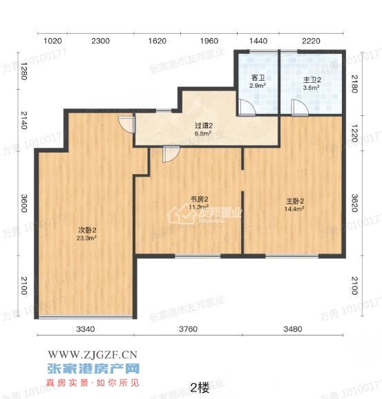 ʹ-͈D-20250520-1.png