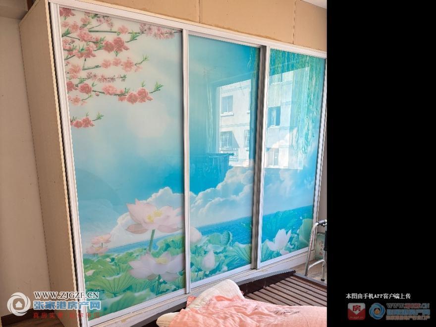 195035936.jpg?x-oss-process=image/resize,w_880