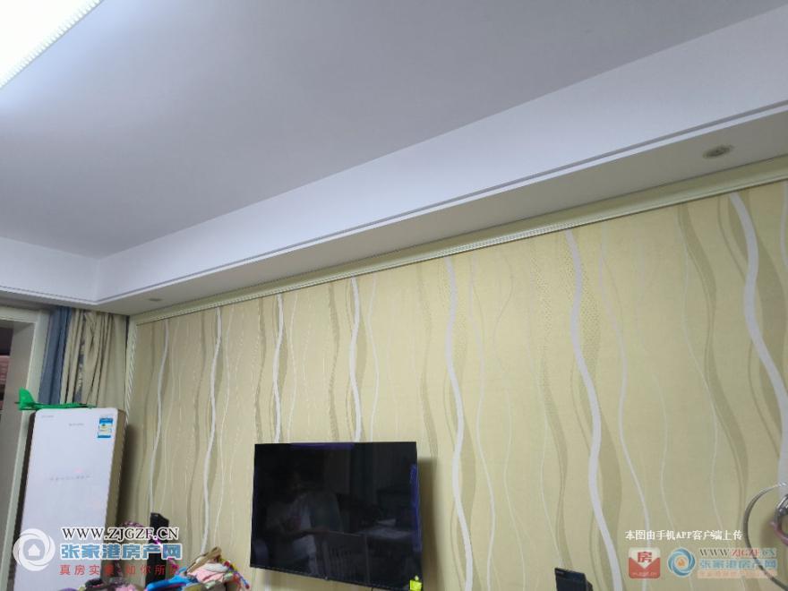 19529752.jpg?x-oss-process=image/resize,w_880