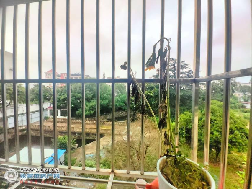 tmp_7394cb296e036ef97f901cfc618e3afc668d3ea03cc7fa4e.jpg?x-oss-process=image/resize,w_880