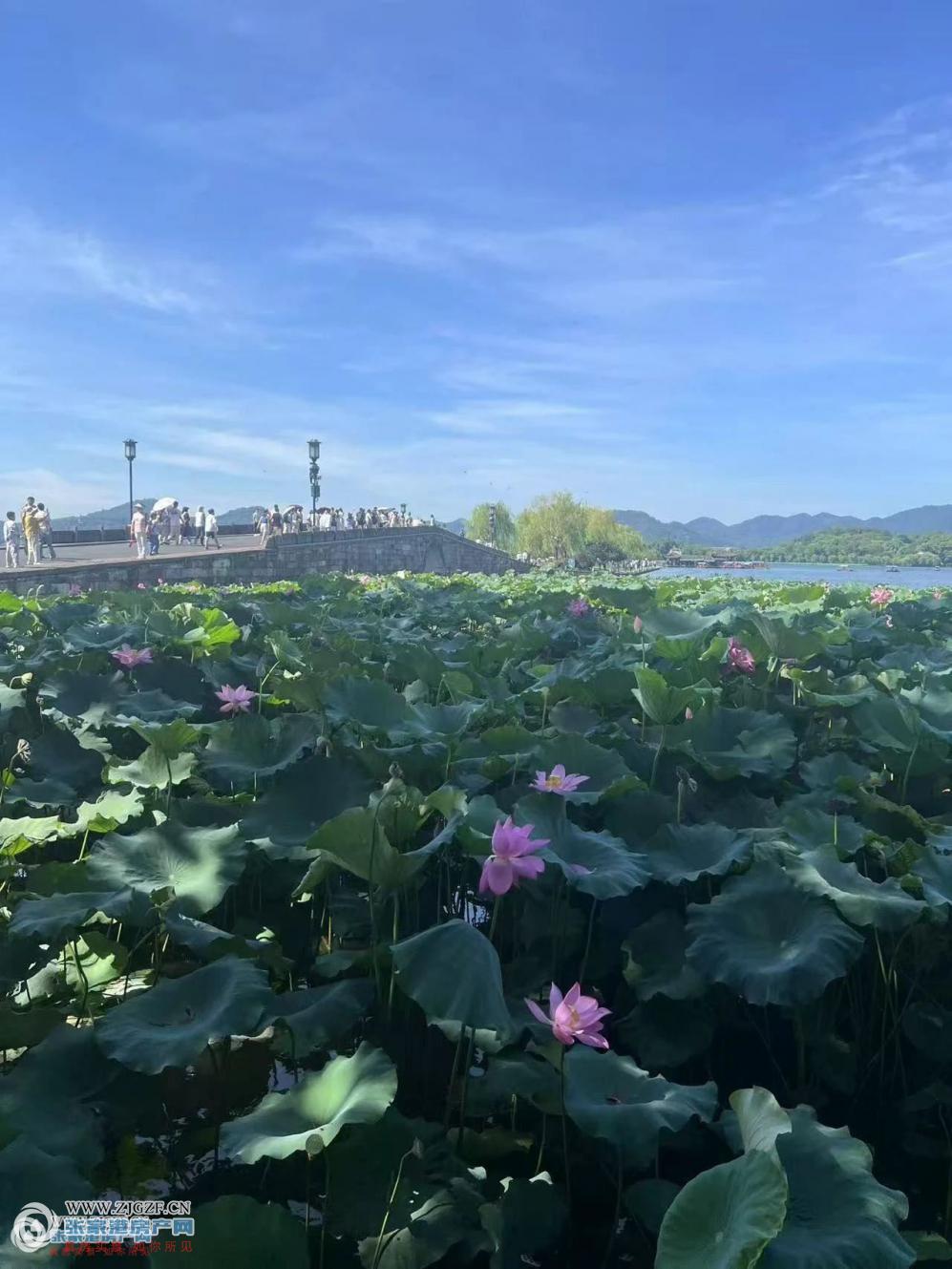 新航花苑二手房图片