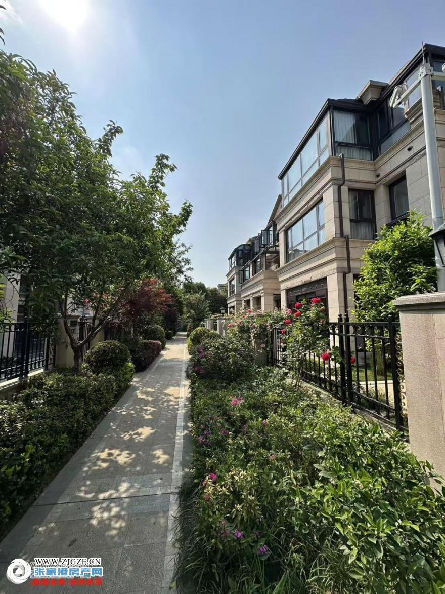 20250728091139_58883.jpg?x-oss-process=image/resize,w_880