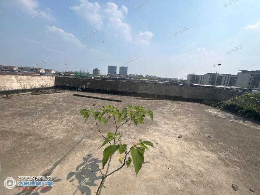 ͼ_ޱǩ(10).jpg?x-oss-process=image/resize,w_880