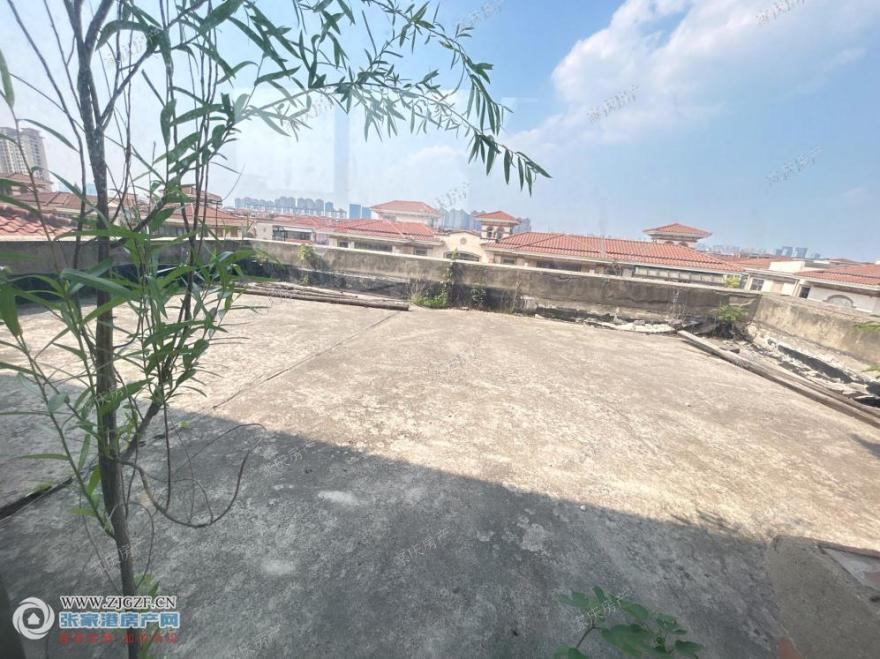 ͼ_ޱǩ(8).jpg?x-oss-process=image/resize,w_880