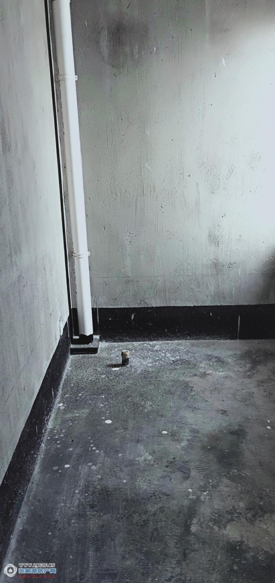 IMG20191003093412.jpg?x-oss-process=image/resize,w_880