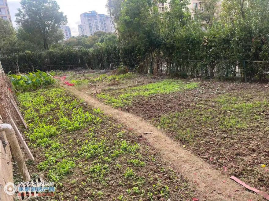 微信图片_2025-11-13_091344_597.jpg?x-oss-process=image/resize,w_880 微信图片_2025-11-13_091344_597.jpg?x-oss-process=image/resize,w_880