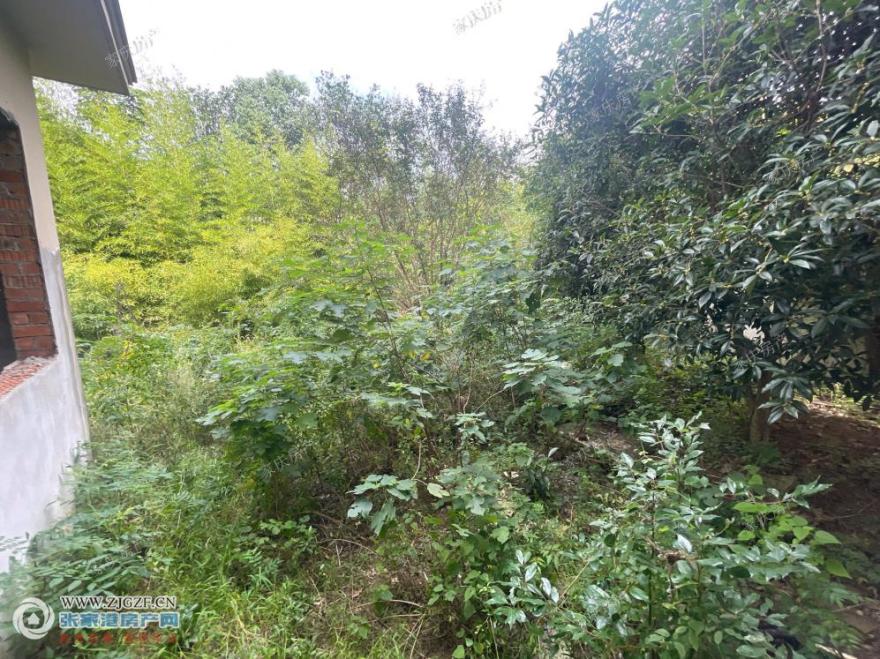 ͼ_ޱǩ(1).jpg?x-oss-process=image/resize,w_880