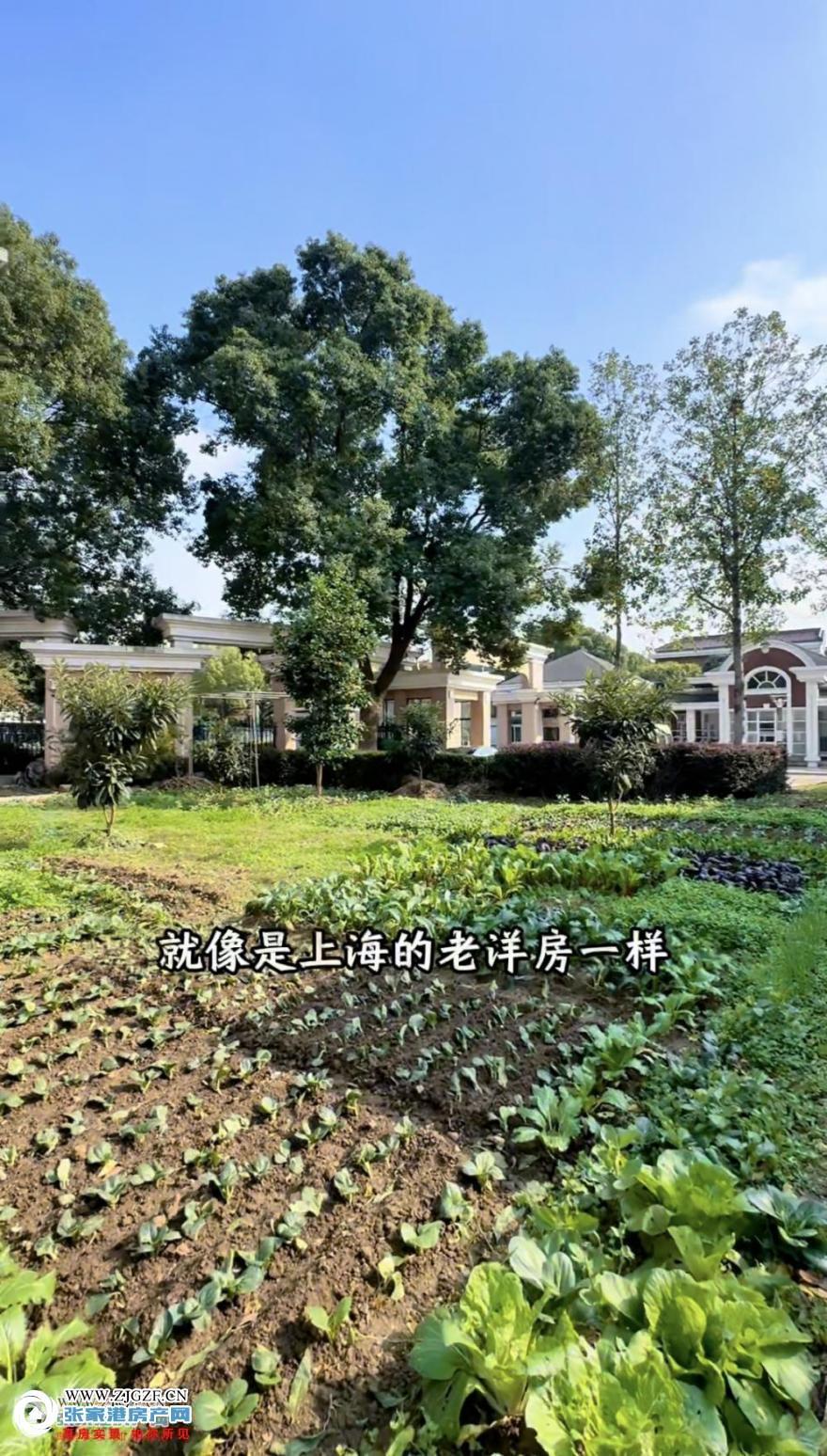 20250903204511_73860.jpg?x-oss-process=image/resize,w_880