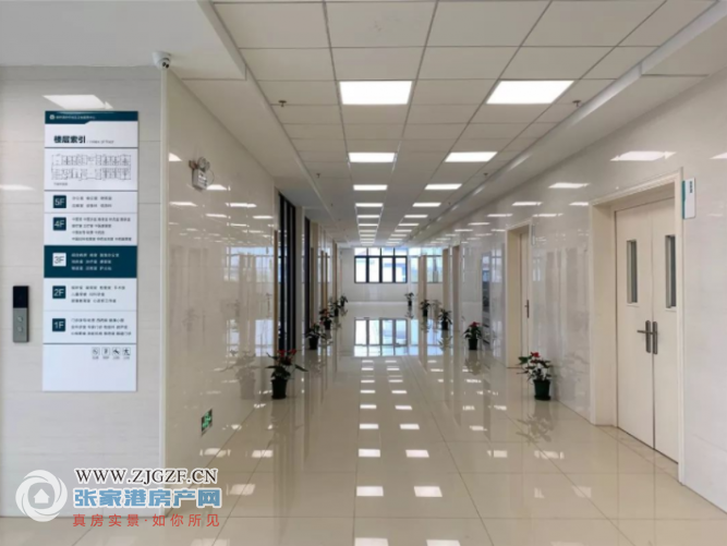 妙桥人口_妙桥中学图片