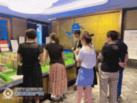 5�����ڣ��⿪����������������