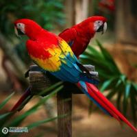 ��������һ���ȳ�չ���뺯����ע�����