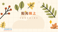 ���á�������� | ����û�뵽�������������������