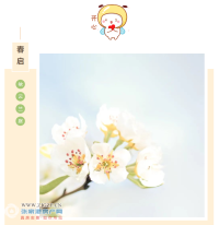 ������ͥ���������㡱 ������Ӱ�н���������㱨����