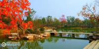 ��ǧĶ�һ�Դ�ӵ��һ���Լ���������ʲô���飿