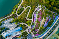 ����������ں�Ժ��ʢ��