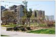 恒基·未来城实景图，拍摄于2011/8/12