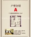 派克酒店式公寓户型图