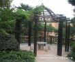 中联皇冠三期实景图，拍摄于2011/10/17