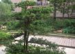 中联皇冠三期配套图，拍摄于2011/10/17