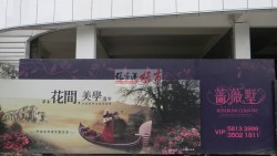 Ǿޱ�����