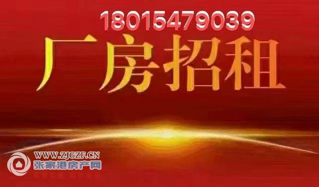 妙桥商城小区房东出租图片