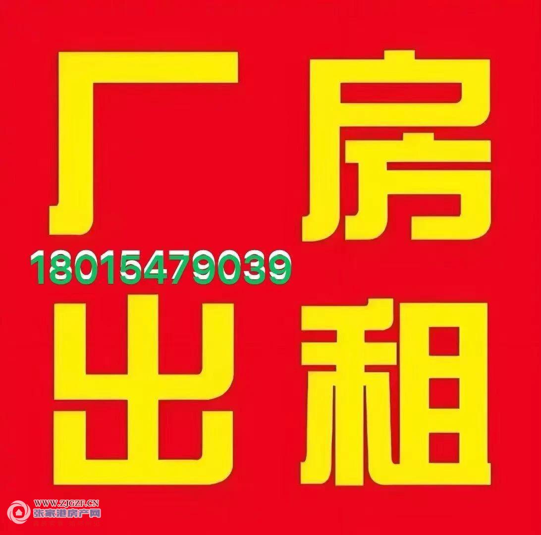 塘桥镇房东出租图片