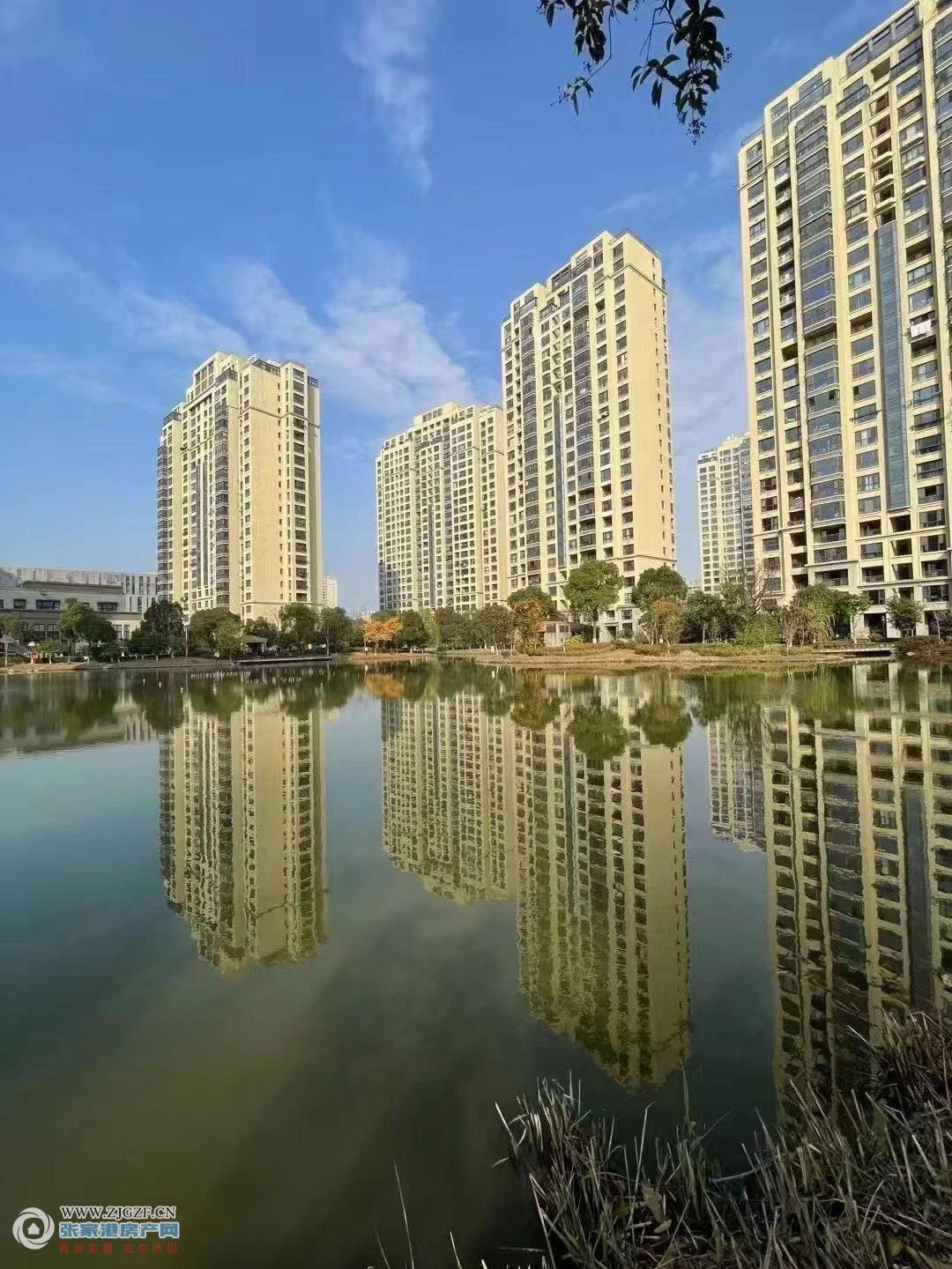 美辰壹号(星河湾)二手房图片