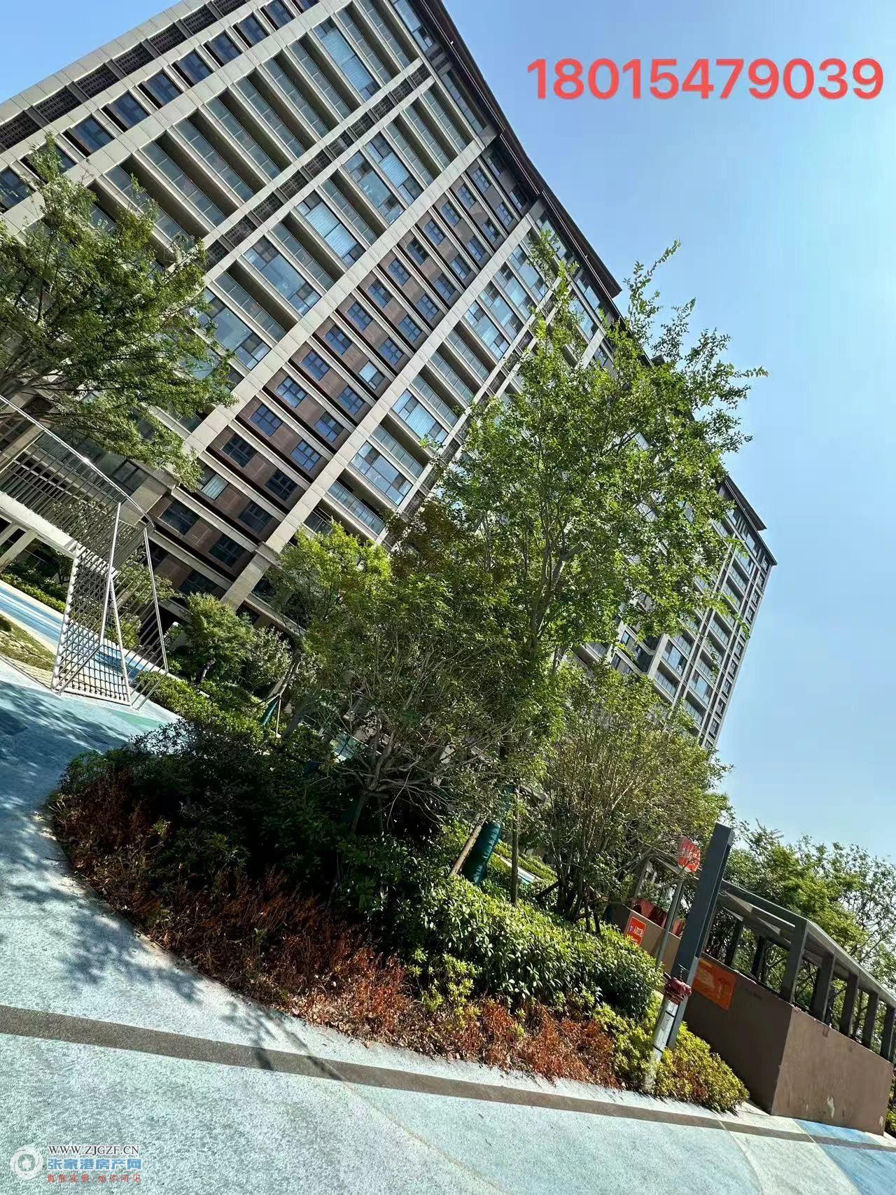 中锐星未来二手房图片