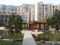 馨塘新村房东出租图片