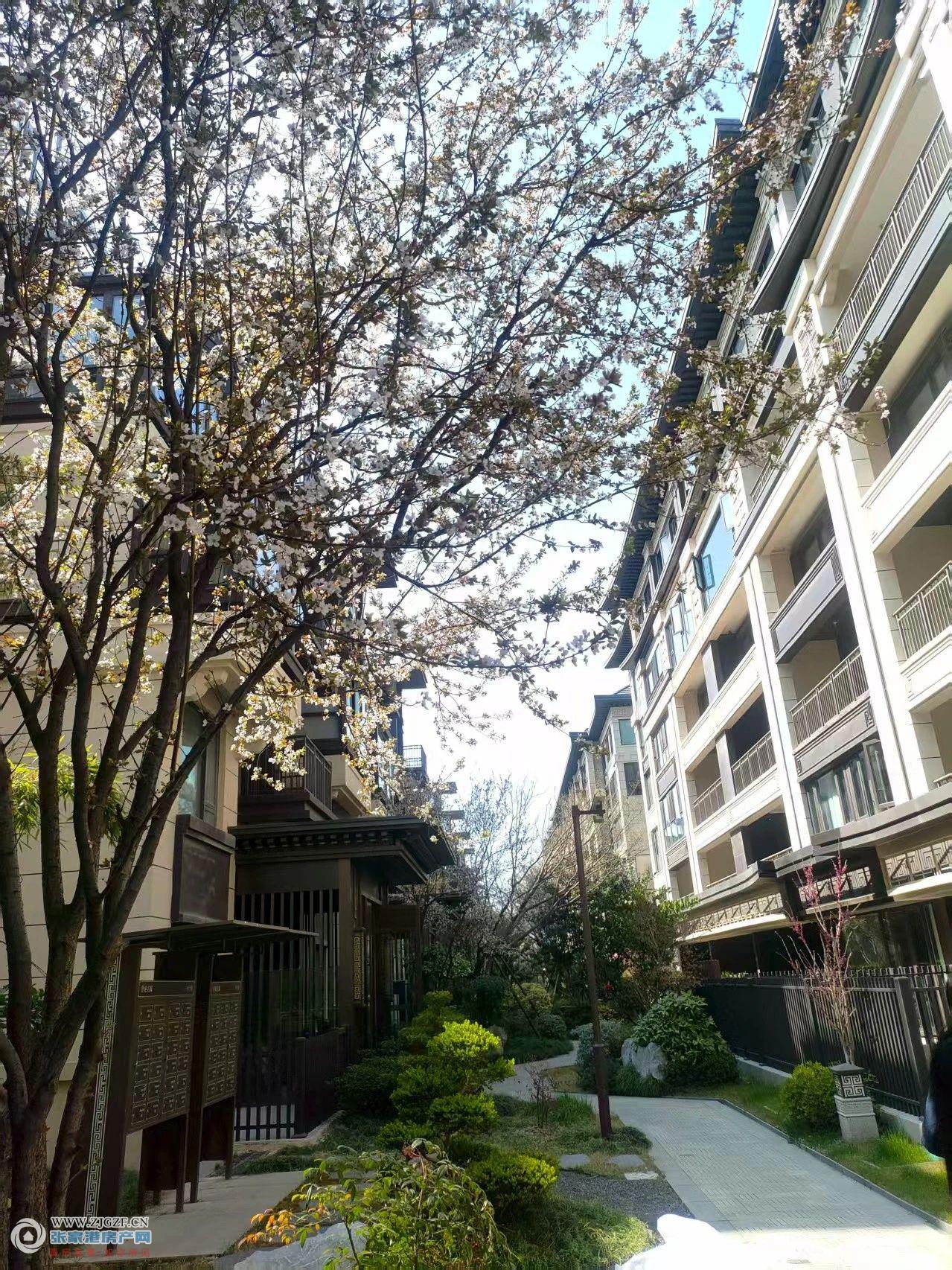 建发御珑湾二手房图片