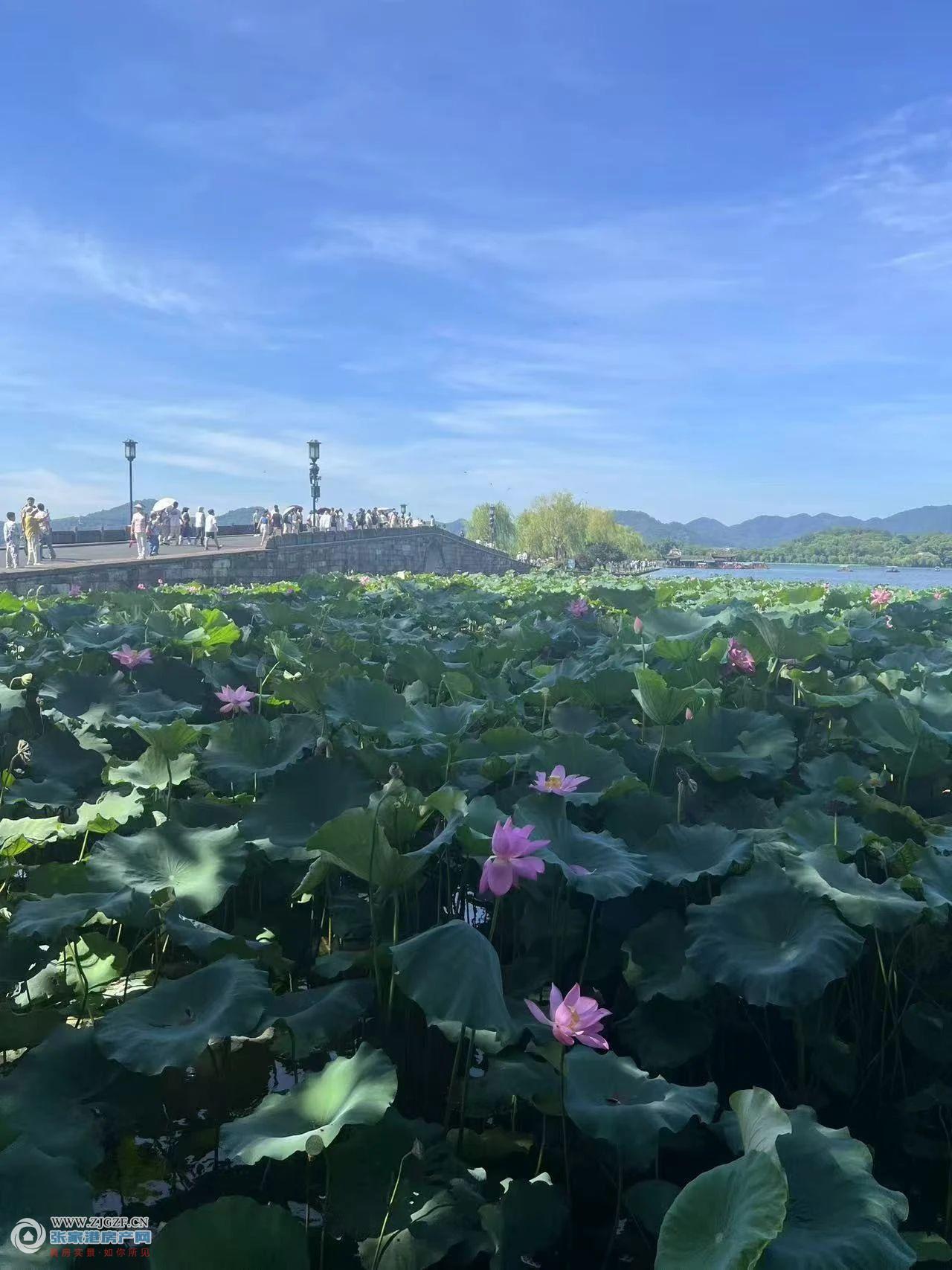 新航花苑二手房图片