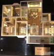 青禾暨阳府户型图，拍摄于2019/10/29