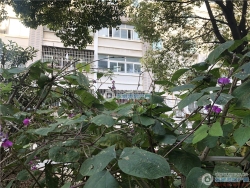 �Ϸ������Է���