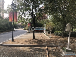 ������Է���