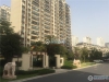 碧桂园翡翠湾实景图，拍摄于2019/11/13