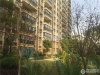 碧桂园翡翠湾实景图，拍摄于2019/11/13