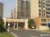 碧桂园翡翠湾实景图，拍摄于2019/11/13