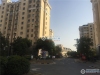 西溪花苑实景图，拍摄于2019/11/13