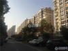 西溪花苑实景图，拍摄于2019/11/13